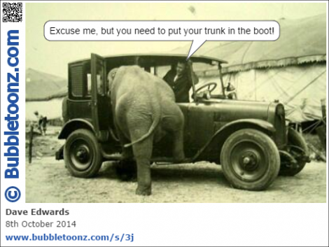 Elephants' trunk