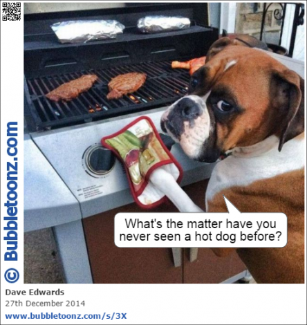 Hot dog.