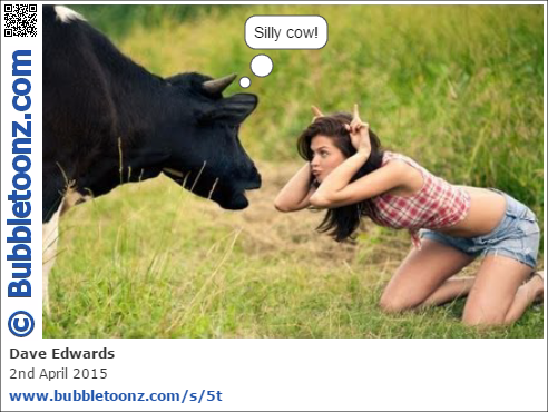Silly cow!
