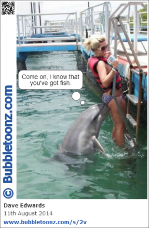Dolphin